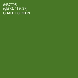 #487725 - Chalet Green Color Image
